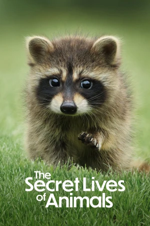 Bí Ẩn Về Thế Giới Động Vật The Secret Lives of Animals