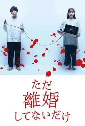 Chỉ Là Không Ly Hôn We Are Just Not Divorced