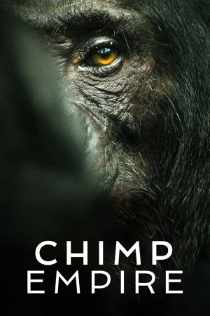 Đế chế tinh tinh Chimp Empire