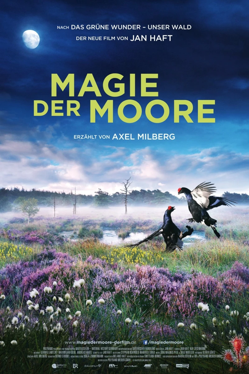 Magie der Moore Magie der Moore