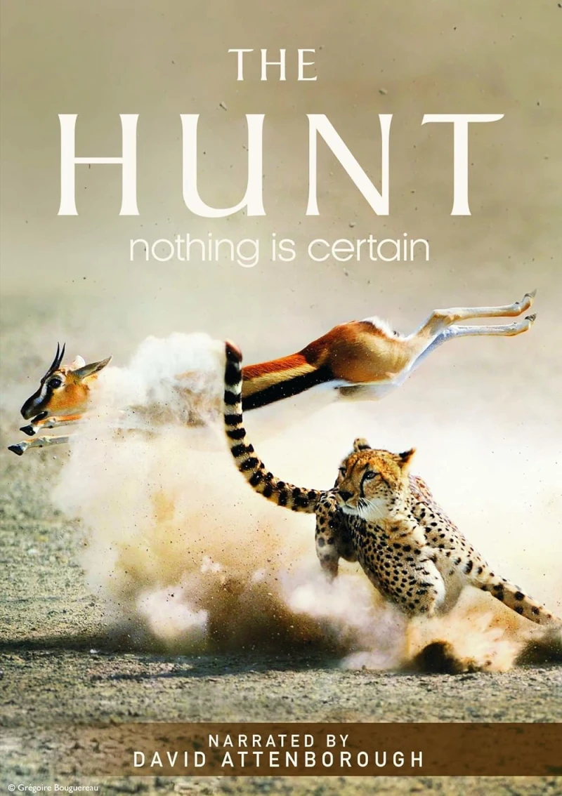 The Hunt The Hunt