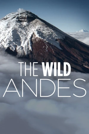 The Wild Andes The Wild Andes
